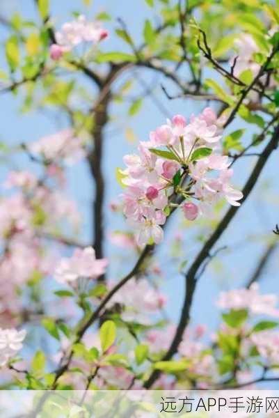 被系统浇灌的日常(双／产)海棠：系统浇灌下的日常盛景(双／产)海棠🌸