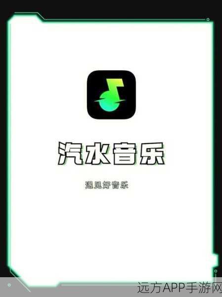 汽水音乐推广授权申请适什么：汽水音乐推广授权申请适用范围＂ 📄