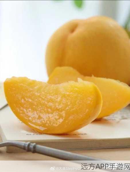 精品一区二区三区四区芒果下载:四区芒果下载地址" 🍑