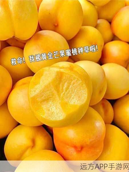 精品一区二区三区四区芒果下载:四区芒果下载地址" 🍑