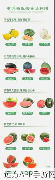 166fun吃瓜网最新版本更新内容：166fun吃瓜网最新版更新详情＂ 🍉