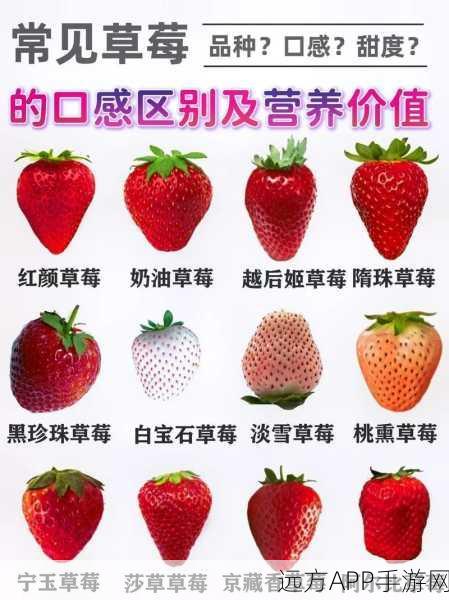 草莓视频APP：“草莓影视应用”🍓