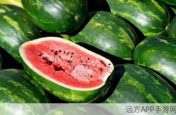 吃瓜不打烊 – 吃瓜,不打烊：吃瓜不停歇 – 吃瓜,不停歇＂ 🍉