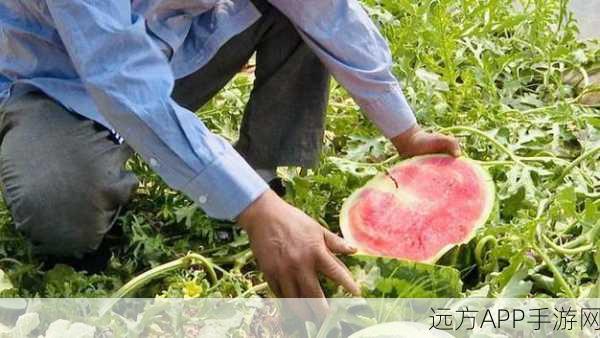 51朝阳群众爆料吃瓜网最新：51朝阳群众最新吃瓜网爆料＂ 🍉