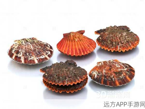 两个 一个扇贝：两只扇贝＂ 🐚