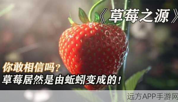 草莓视频在线观看：草莓视频在线播放＂ 🍓