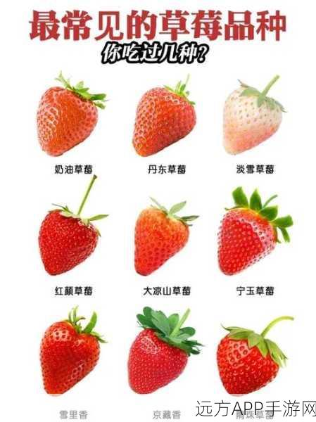 草莓 APP：草莓移动应用＂ 🍓