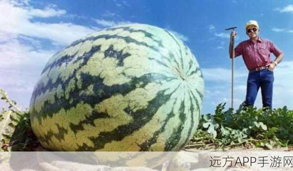 海角吃瓜：角落里的趣事＂ 🍉