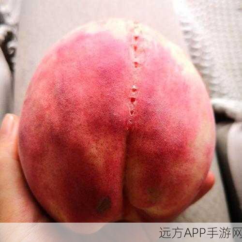 黄污软件：成人内容应用＂ 🍑