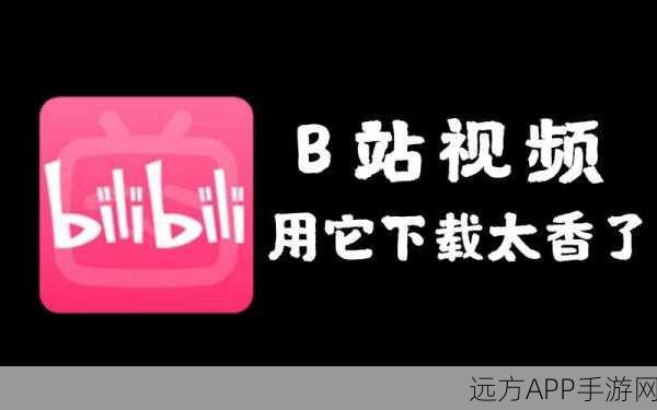 b站禁止转播(视频)软件：b站限制直播（视频）工具＂ 🎥