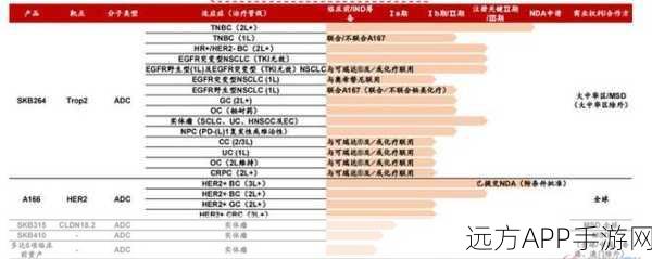 adc影视年龄确认实名认证：ADC影视年龄验证与实名认证＂ 📅