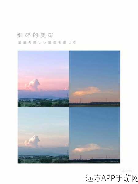 tai9.cc 复制：tai9.cc 副本＂ ☁️