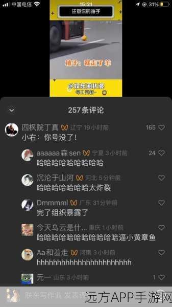 占鸾1v2养成：占鸾1v2成长之旅＂ 🌟