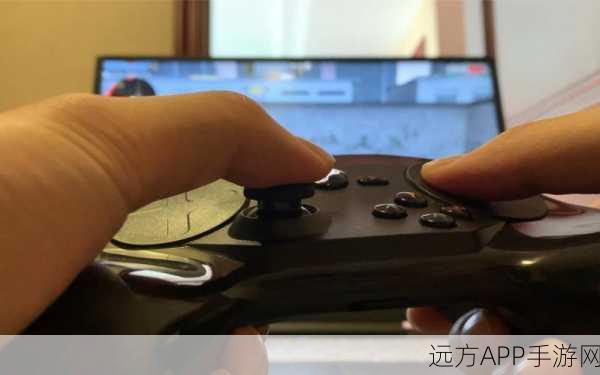 csgo一个人在家寂寞图片：孤单玩家在家CSGO游戏时刻＂🎮