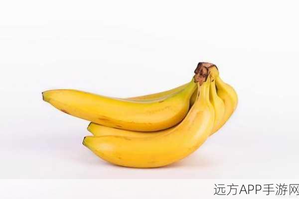 一级香蕉视频：香蕉视频精选＂ 🍌