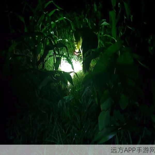 夜里100款夜间：百种夜间乐趣＂ 🌙