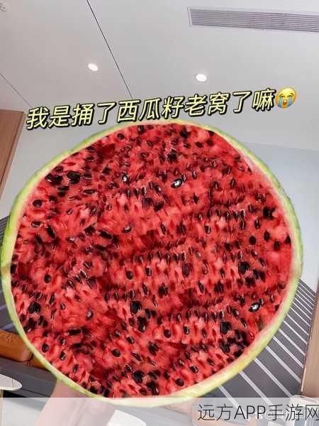 今天吃瓜黑料911爆料：今日八卦黑幕911内幕曝光＂ 🍉