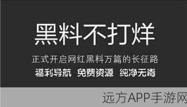 黑料不打烊最新网站：黑料无休止最新平台＂ 🔥