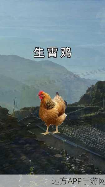 搞鸡软件下载：鸡类软件获取＂🐔