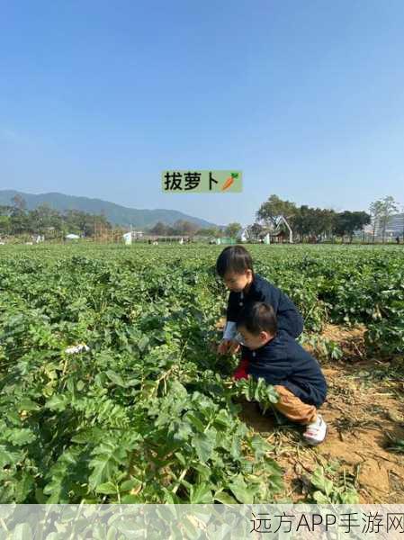 二人世界拔萝卜第一人称免费：双人萝卜拔取冒险：第一人称体验 免费＂ 🥕