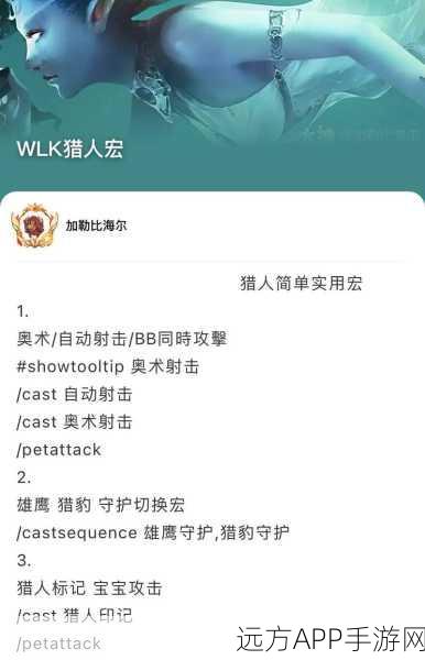 wlk射击猎人一键宏：wlk射击猎人快速宏＂ 🎯