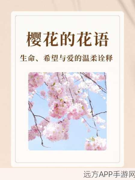 澧色母樱花：樱花的澧色魅力＂🌸