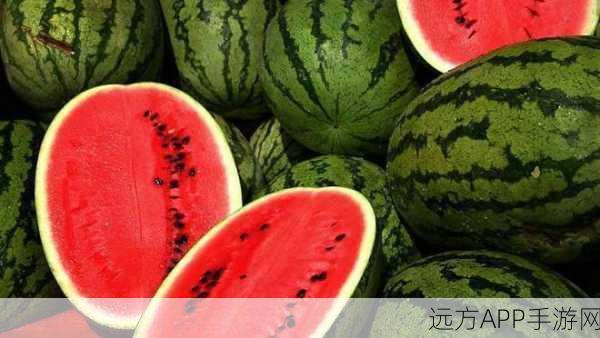 今日吃瓜-51朝阳群众往期：今日热闻-51朝阳群众回顾＂ 🍉