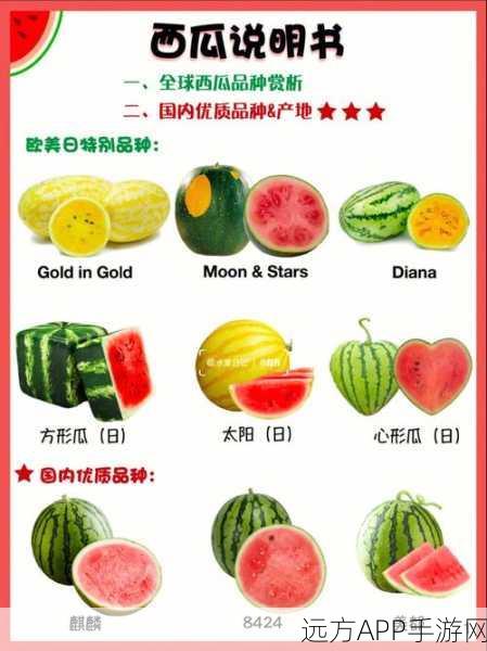 今日吃瓜-51朝阳群众往期：今日热闻-51朝阳群众回顾＂ 🍉