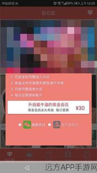 又黄又大又猛又爽免费软件：体验无忧的强大免费软件＂🔥