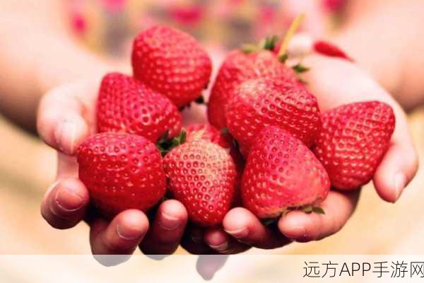 草莓视频色多多8x8x：草莓影片色彩缤纷8x8x🍓