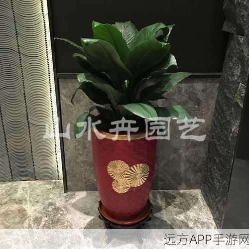 51精品国自产：优质国产精品51件＂ 😊