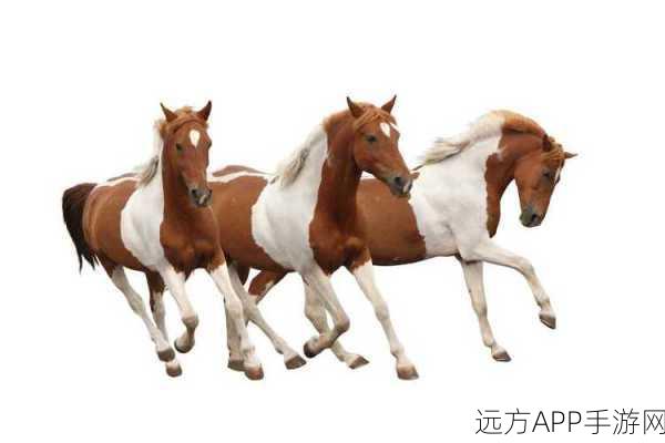 随着马的奔跑而律动皇上：随着马的奔腾而唱响皇命＂ 🐎