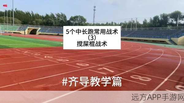 带小玩具跑步的感受：与小玩具一同奔跑的体验＂🏃‍♂️