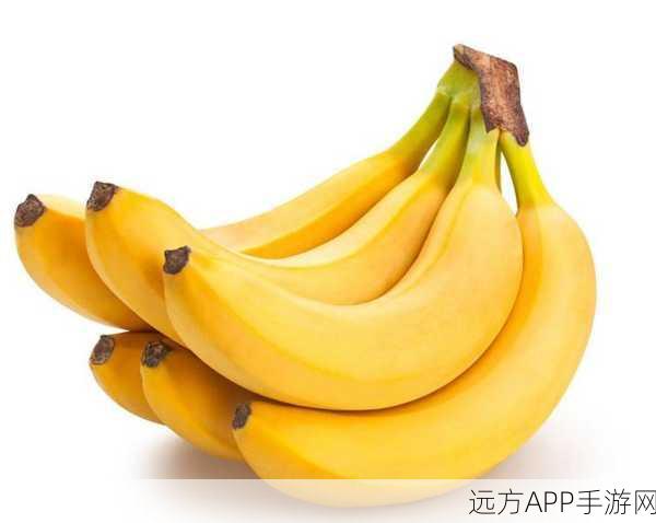 免费香蕉视频：无偿香蕉播放＂ 🍌