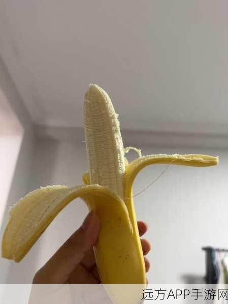 免费香蕉视频：无偿香蕉播放＂ 🍌