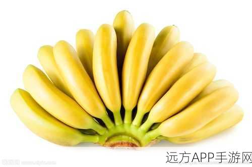 www香蕉：香蕉网＂ 🍌