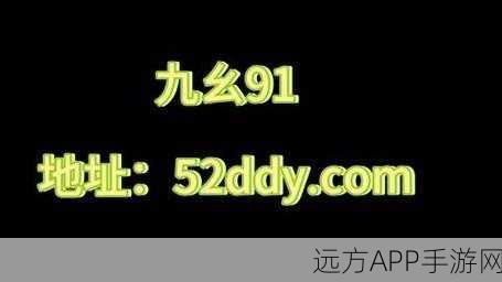 九幺9.1免费安装：九幺9.1无偿安装＂ 😊