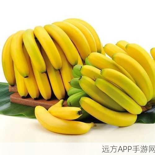 香蕉视频YY：香蕉娱乐秀＂🍌