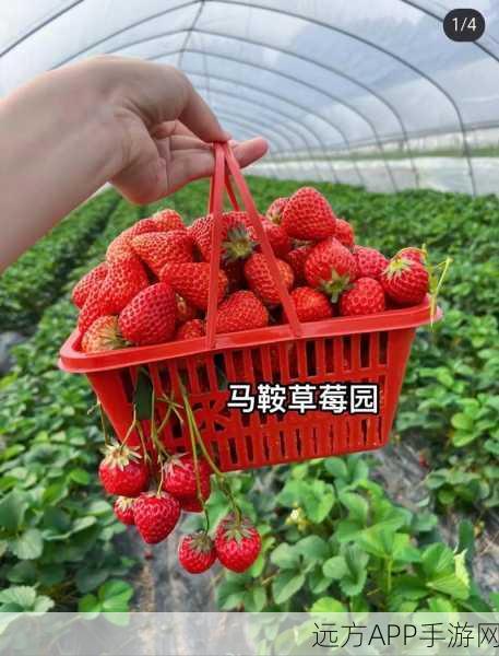 草莓无限观影次数在线观看：草莓畅享无限观影体验在线＂ 🍓