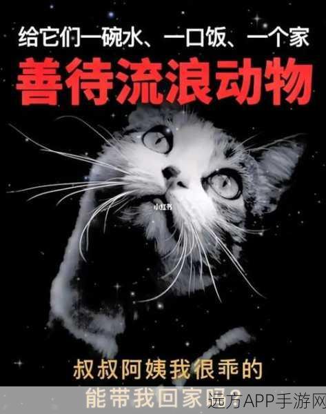 Z0oZo0人善之交人与禽：Z0oZo0人与善良的动物相处＂ 🐾