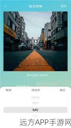 LUTUBE：视频乐园＂ 🎥