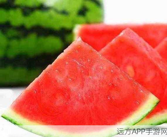 Intitle免费吃瓜爆料：无偿八卦爆料＂ 🍉