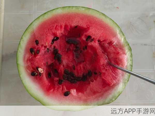 五一吃瓜网网页版今日吃瓜黑料：“五一吃瓜网网页版今日瓜闻资讯”🍉