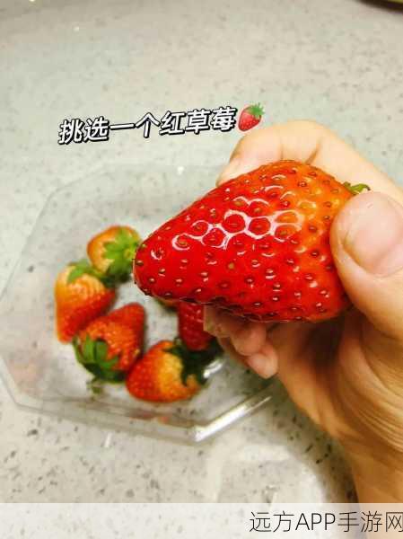 草莓视频无限次数观看：草莓视频无限制播放＂ 🍓