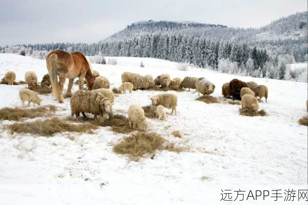 Zookeeper俄罗斯牧场：俄罗斯的牧场管理者＂ 🐴