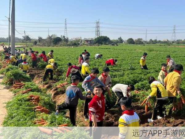 男生和女生不盖被子拔萝卜：男孩与女孩的趣味游戏：不盖被子拔萝卜🏕️