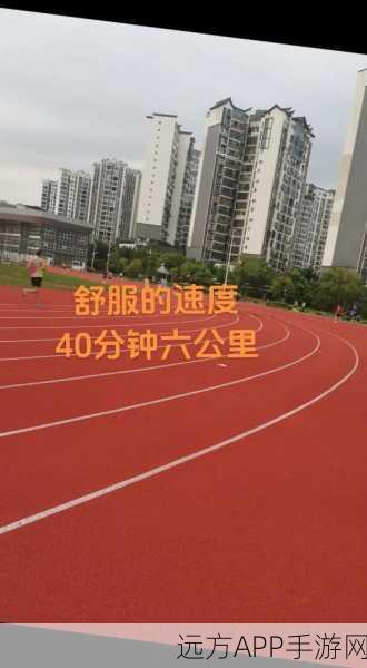 凌乱的校园运动会：活力四射的校园运动会＂🏃‍♂️