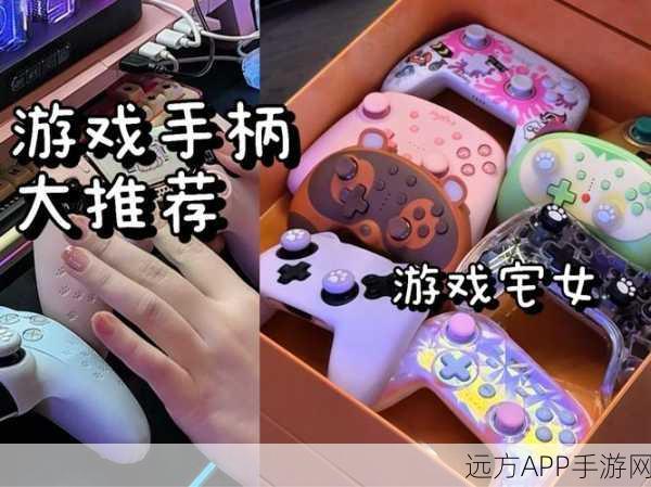 动漫人物桶二次元人物游戏：二次元角色桶动游戏＂ 🎮