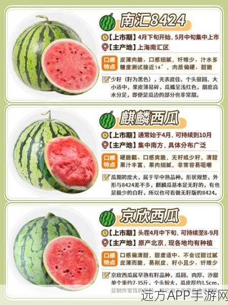 五一吃瓜软件：五一赏瓜应用＂ 🍉