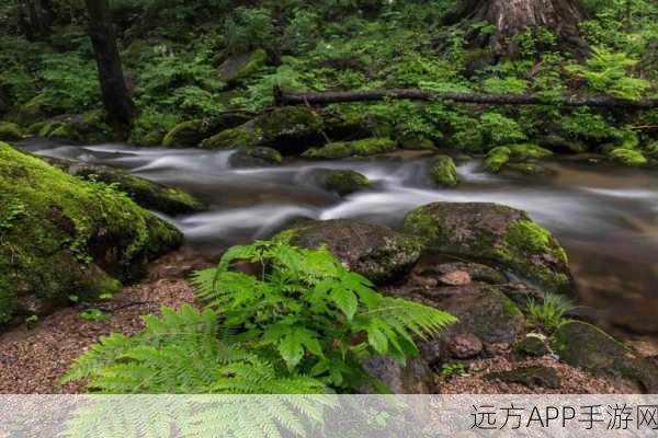 两峰夹小溪地湿又无泥诗 小说：两山环抱小溪，湿润而无泥的诗意小说＂ 🌊